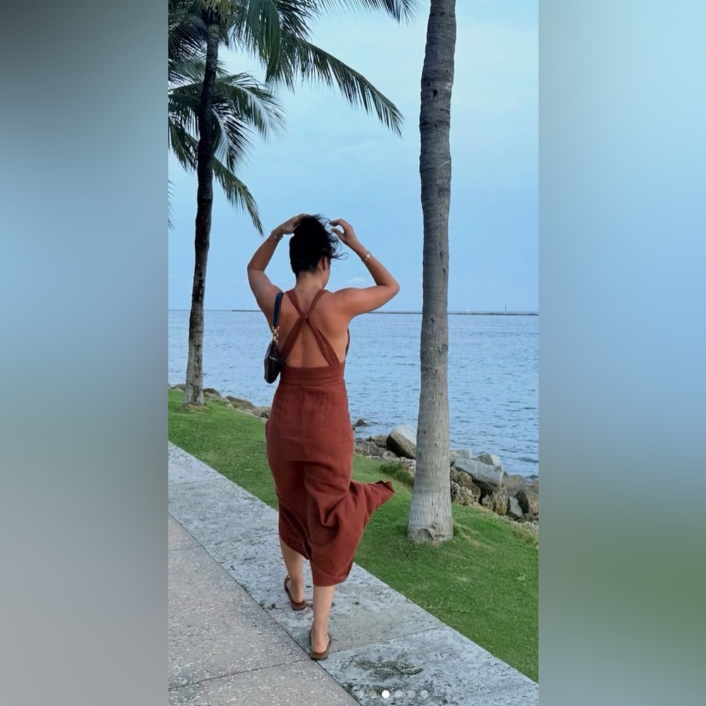 Zara Rust Brown Backless Maxi Dress - Picture 7 of 14